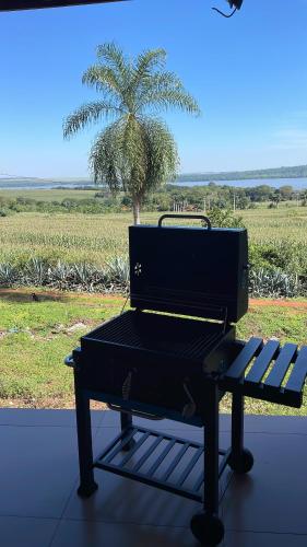 ein schwarzes Klavier vor einer Palme in der Unterkunft Casa de Campo Tio Mário in Guaíra