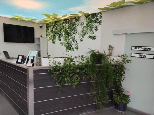 TV a/nebo společenská místnost v ubytování Dalex Events & Spa