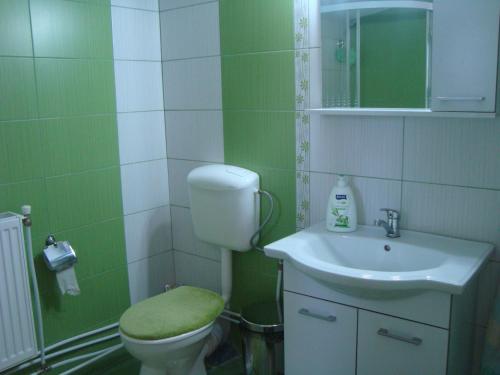 グラ・フモルルイにあるPensiunea Casa Rodicaの緑と白のバスルーム(トイレ、洗面台付)