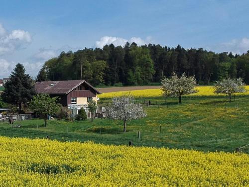 Příroda nedaleko apartmánu