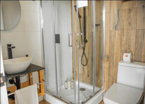 Koupelna v ubytování Alto Pehuén