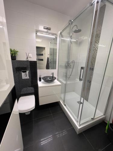 a bathroom with a shower and a toilet and a sink at Apartament Zacisze in Kalisz