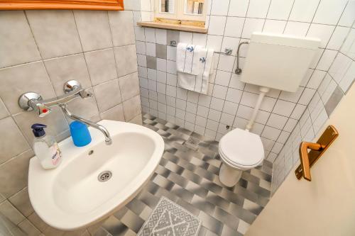 Koupelna v ubytování Apartment Brane