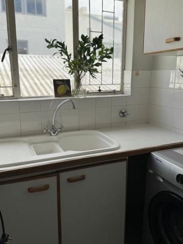 a kitchen with a sink and a plant in a window at De Eike in Stellenbosch