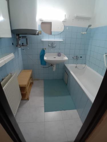 a bathroom with a tub and a sink and a bath tub at Apartmán Na Horách in Zlatá Olešnice