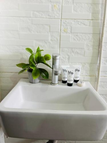 a white sink with a plant on top of it at Studio Room in Zanzibar City