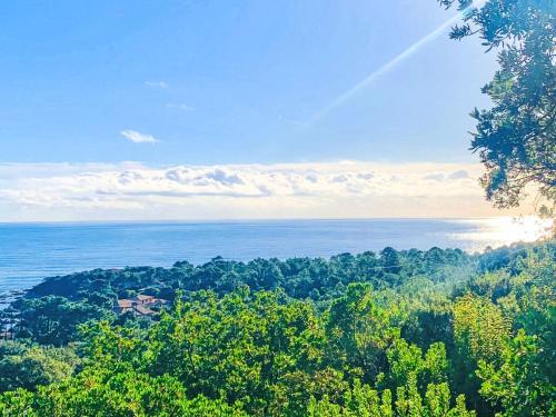 Φυσικό τοπίο κοντά σε αυτή η παραθεριστική κατοικία