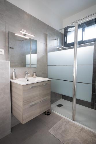 a bathroom with a sink and a shower at N1 Maison T2 climatisé in Ajaccio