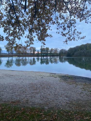 Naturlandschaft in der Nähe der Ferienwohnung