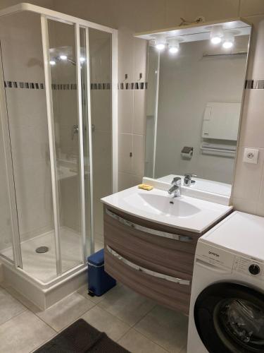 a bathroom with a shower and a sink and a washing machine at La Parenthèse du Remoray in Labergement-Sainte-Marie