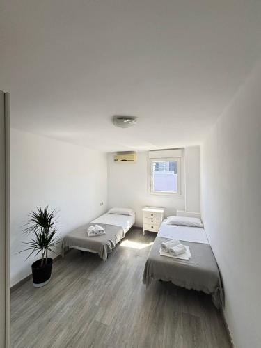 Apartamento Forum