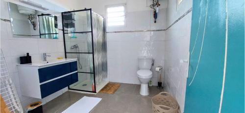 ル・ヴォクランにあるLa Fleur Doré F3 Le Vauclinのトイレとガラスのシャワー付きのバスルーム