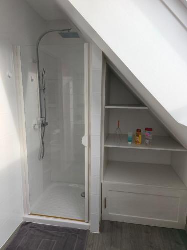 a bathroom with a shower under the stairs at L'écrin champêtre, séjour chic et cosy in Waldolwisheim