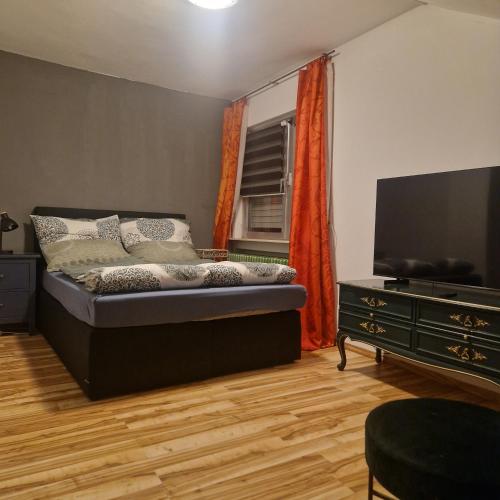 ein Schlafzimmer mit einem Bett und einem Flachbildfernseher in der Unterkunft Dachgeschosswohnung in Langenselbold