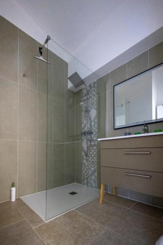 a bathroom with a shower with a sink and a mirror at Gîte La Mosaïque in Dauphin