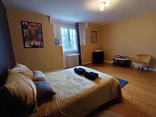 a bedroom with a bed with two bags on it at Château de Villechauvon in Vatan