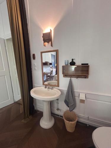 a bathroom with a sink and a mirror at la maison des dames in Poussay