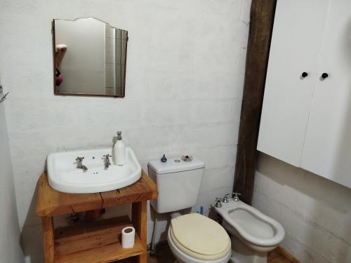 a bathroom with a sink and a toilet and a mirror at MONOAMBIENTE en sierras de córdoba in Huerta Grande
