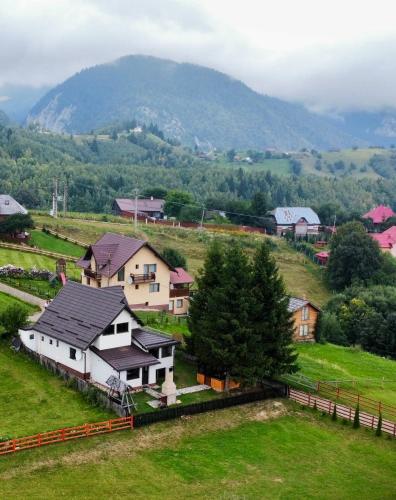 a group of houses in a field with a mountain at Vila Panoramic Pestera in Peştera