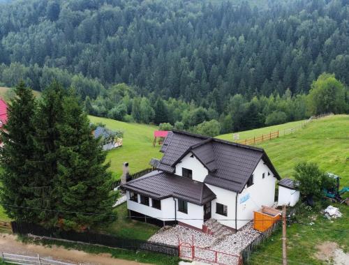 an aerial view of a house in a field at Vila Panoramic Pestera in Peştera