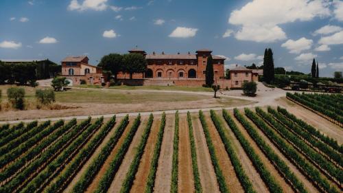 ein großes Haus mit einem Weinberg davor in der Unterkunft Agriturismo Terra Rossa in Valiano