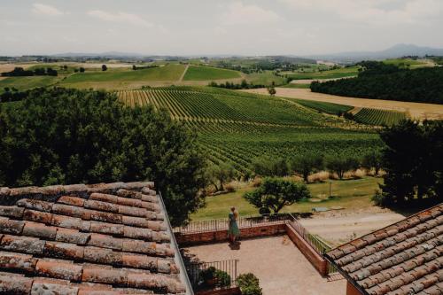 Eine Frau steht auf einem Dach und blickt auf einen Weinberg. in der Unterkunft Agriturismo Terra Rossa in Valiano