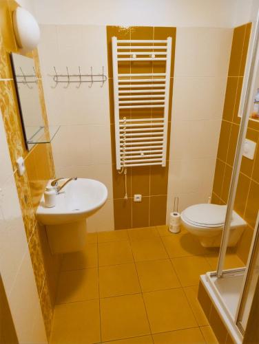 a bathroom with a sink and a toilet at Apartmán Lipno TwentyFive in Lipno nad Vltavou