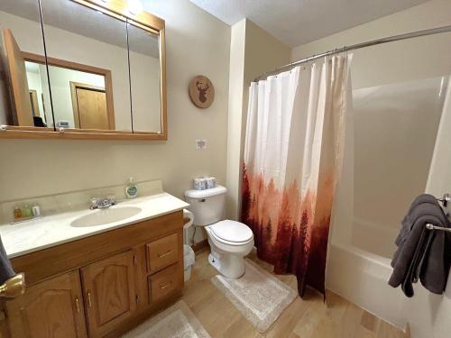 a bathroom with a toilet and a sink and a shower at North Country Retreat in Saint Ignace