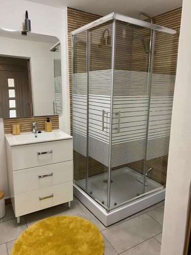 a bathroom with a shower with a sink and a mirror at De Hongaarse Vallei in Szellő