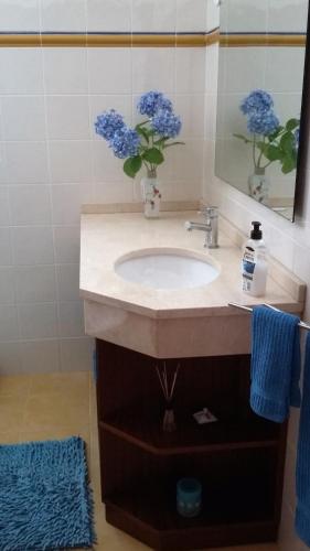 a bathroom with a sink with a vase of blue flowers at Casa Shalom in Faial