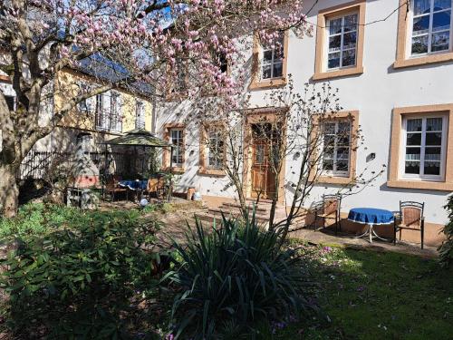 une maison avec un arbre en fleurs devant dans l'établissement Ferienwohnung Mit Garten Und Parkplatz, à Neumagen-Dhron