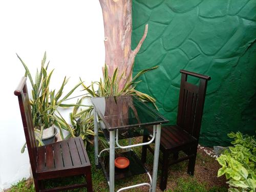 dos sillas y una mesa con plantas. en Dihini Villa, en Unawatuna