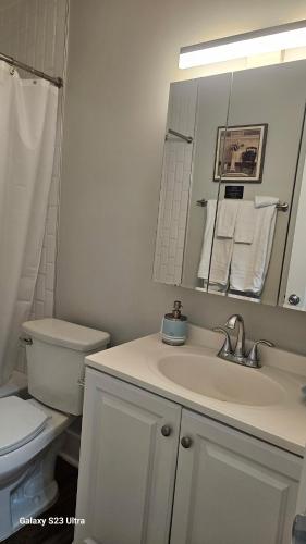 a bathroom with a sink and a toilet and a mirror at Newly remodeled Near Midtown S Tampa Westshore in Tampa