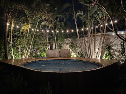 Κήπος έξω από το Catlovers Christmas