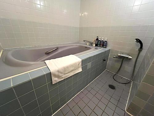 Ένα μπάνιο στο ホテルクレアトゥール安城