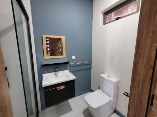 a bathroom with a white toilet and a sink at 2 Bed 9 mins walk from beach in Flic-en-Flac