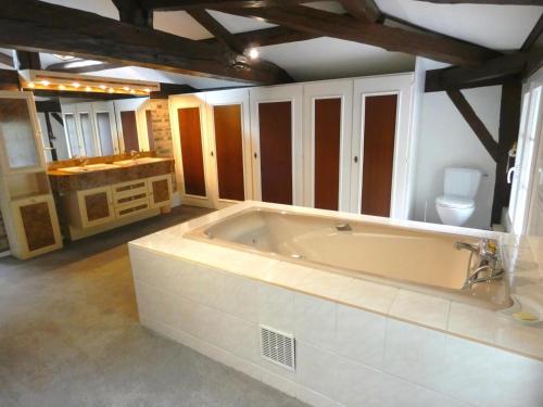 a large bathroom with a tub and a toilet at Les grandes bruyères in Lesperon