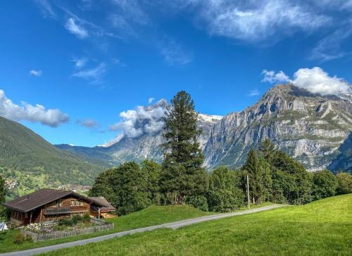 una casa en una colina con una montaña al fondo en Ferienhaus Chalet Simeli, en Grindelwald
