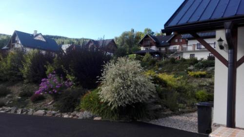 a garden with flowers and plants in front of a house at Penzion Kabourek in Vítkovice