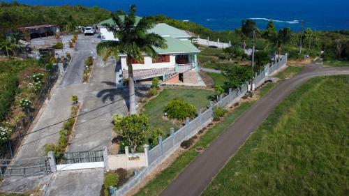 a road next to a house with a palm tree at Gîte Soleil Canne in Capesterre-de-Marie-Galante