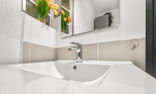 a bathroom with a white sink and a mirror at Les Amandiers - L'Isle d'Or in LʼIsle-sur-la-Sorgue