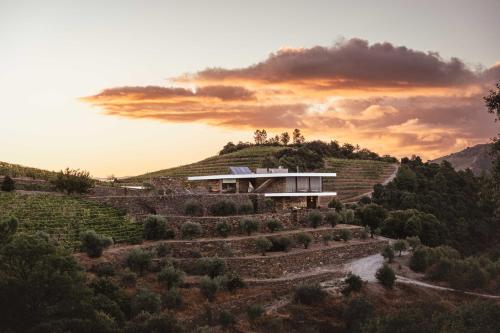 a house on top of a hill with trees at Quinta Vale das Papas in Casal de Loivos