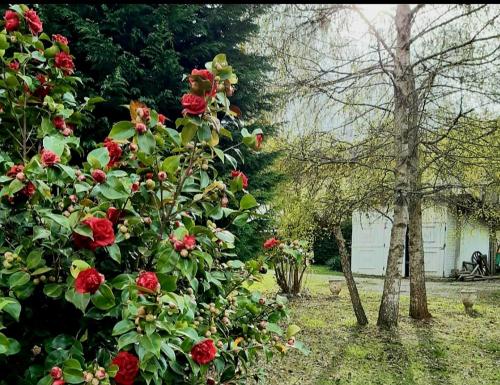 Billede fra billedgalleriet på The Cottage by the lake i San Maurizio dʼOpaglio