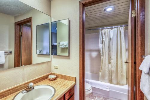 een badkamer met een wastafel, een toilet en een spiegel bij Bogus Basin Comfort -226 D in Bogus Basin