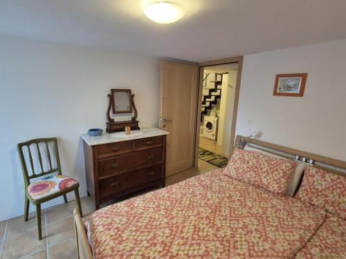 a bedroom with a bed and a mirror and a chair at Rustico La Stalla di Adele in Cevio