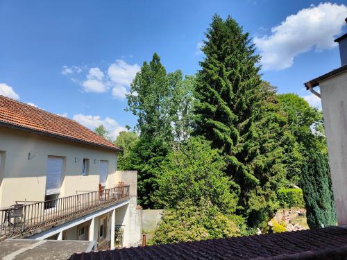 a view of trees from the roof of a building at Chambres D'hôtes in Bains-les-Bains