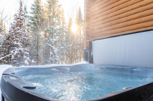 Fiddler Lake Resort Chalet 69 Deer v zimě