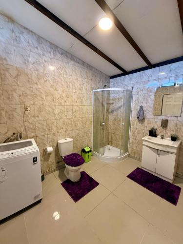 a bathroom with a shower and a toilet and a sink at Casa Luz in Arica