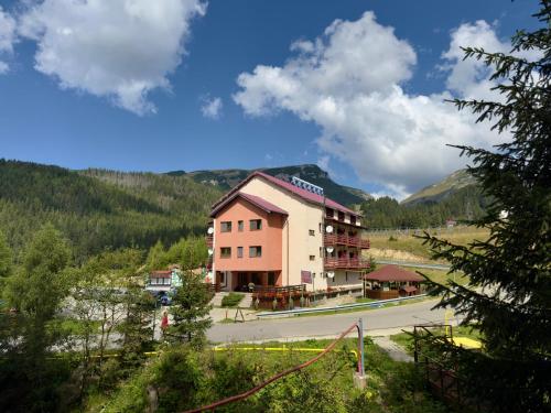 ein Hotel in den Bergen mit einer Straße davor in der Unterkunft Pensiunea Turistică Octavian in Moroeni