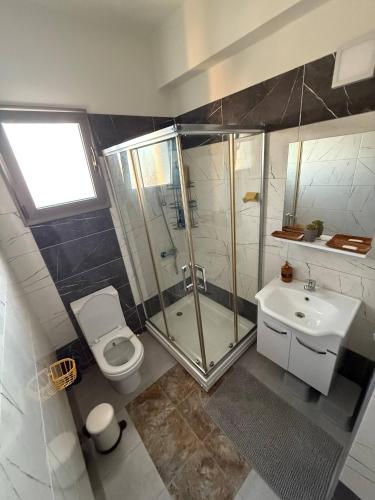 a bathroom with a shower and a toilet and a sink at Central Nicosia Haven in Nicosia